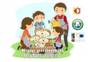 Grybai
